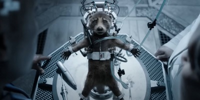 Guardians of the Galaxy Vol. 3; a baby raccoon, imprisoned and experimented upon.