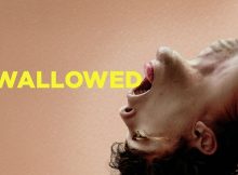 Swallowed poster